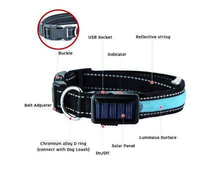 Solar Charge Reflective Led Collar - Zoomies