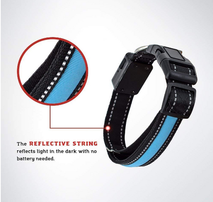 Solar Charge Reflective Led Collar - Zoomies
