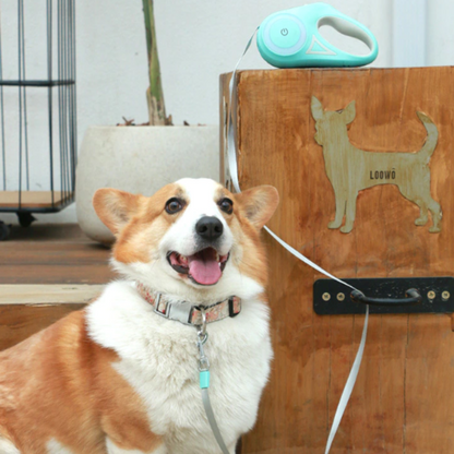 Automatic Retractable Lighting Leash - Zoomies