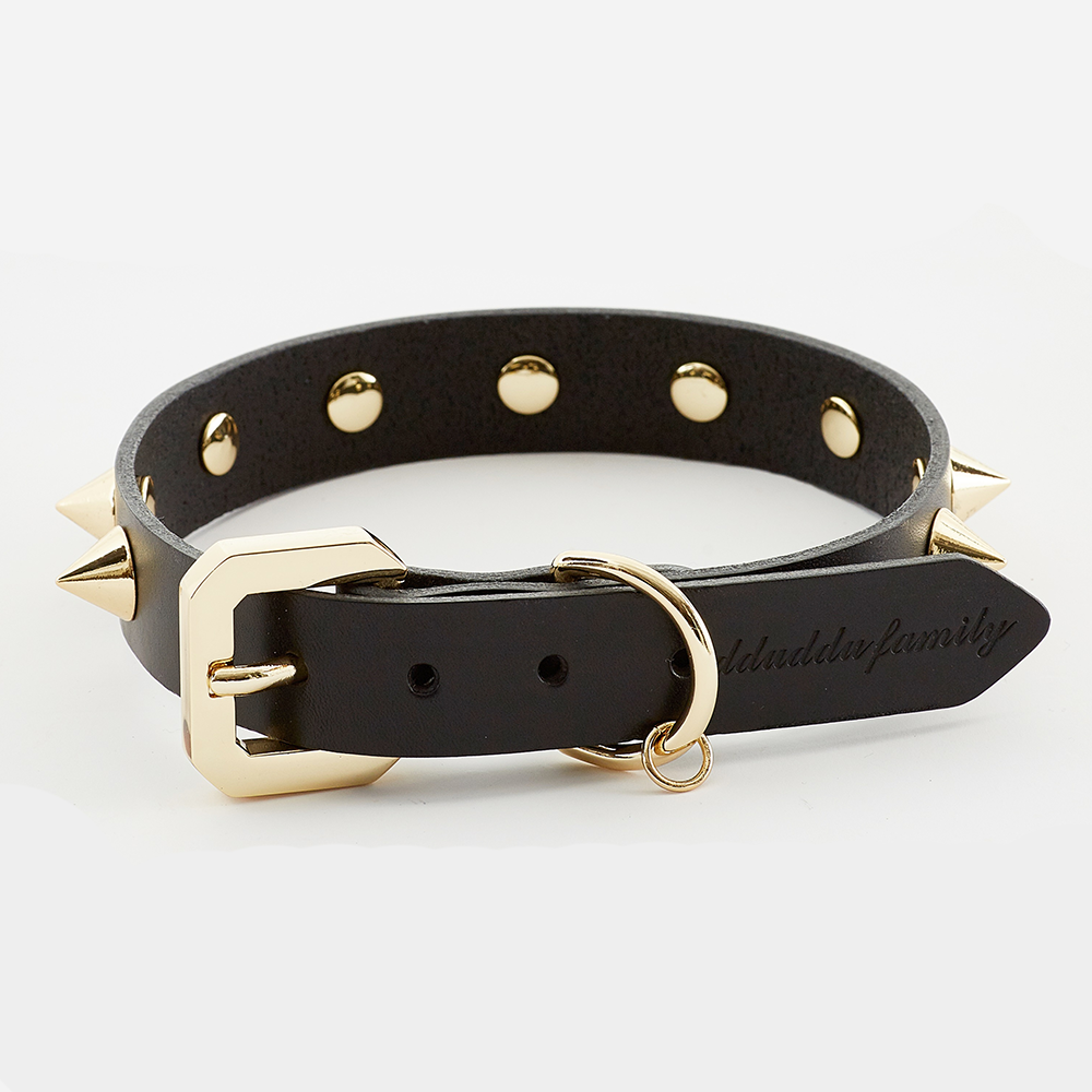 Golden Spike Black Collar - Zoomies