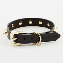 Golden Spike Black Collar - Zoomies