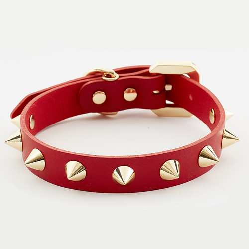 Golden Spike Red Collar - Zoomies