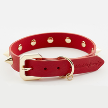 Golden Spike Red Collar - Zoomies