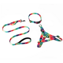 Matching Leash & Collars Set - Zoomies