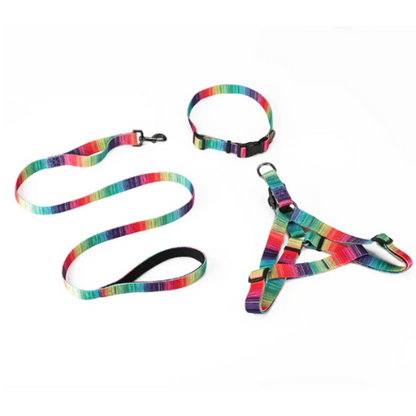 Matching Leash & Collars Set - Zoomies
