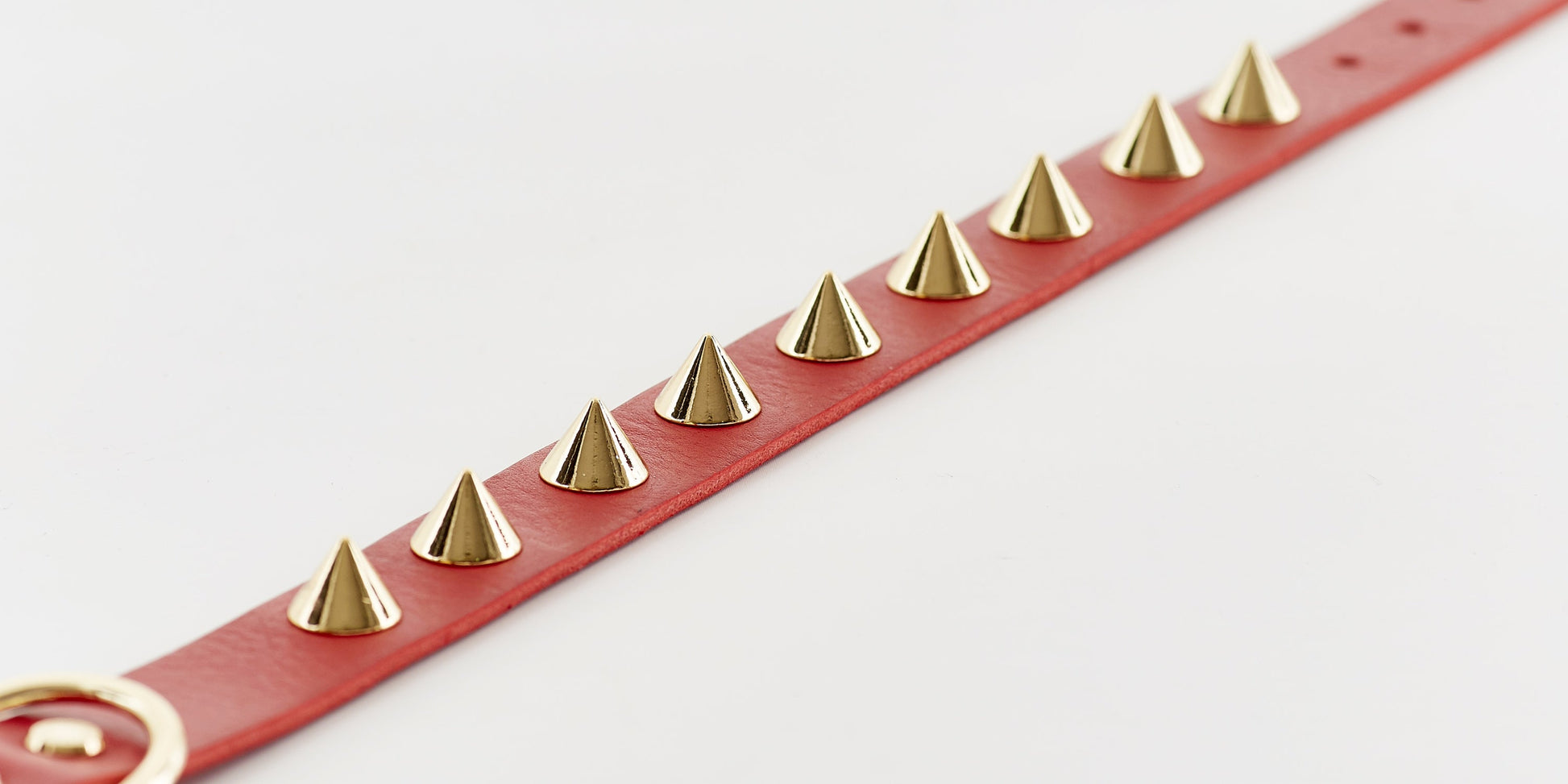 Golden Spike Red Collar - Zoomies