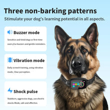 Smart Anti Barking Dog Collar - Zoomies