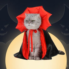 Halloween Pet Clothes - Zoomies