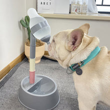 Automatic Pet Water Dispenser - Zoomies