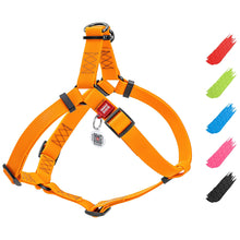 Waterproof Dog Harness - Zoomies