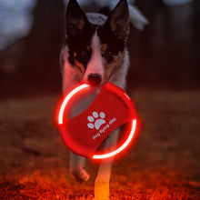 Light Glowing Flying Discs - Zoomies