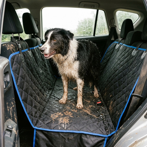 Dog cargo liner — Border collie on the seat cover after a muddy walk
