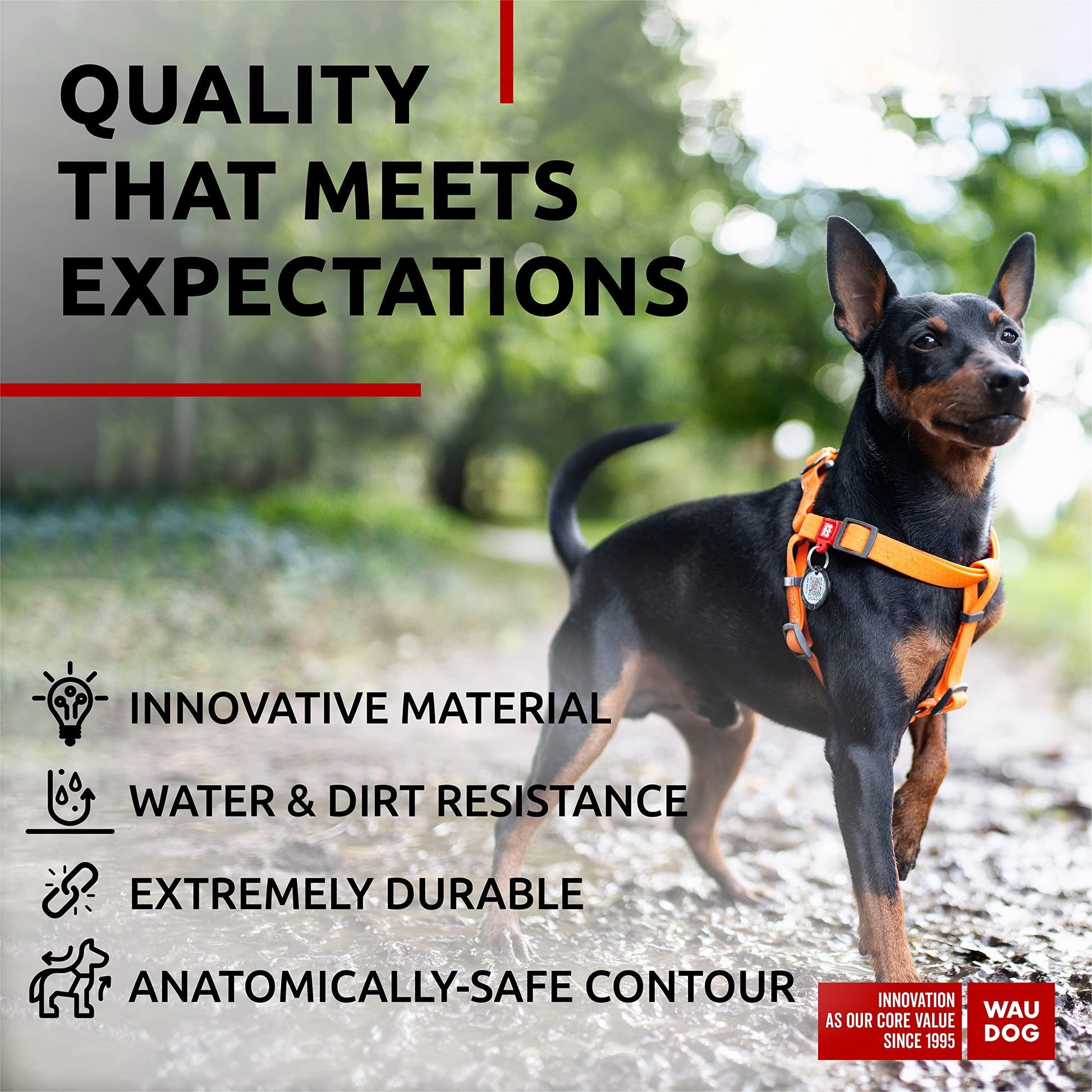 Waterproof Dog Harness - Zoomies