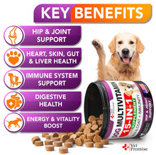 Dog Multivitamin Chewable - Zoomies
