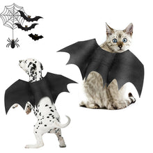 Pet Bat Wings Costume - Zoomies