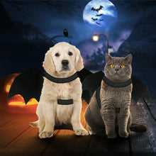 Pet Bat Wings Costume - Zoomies