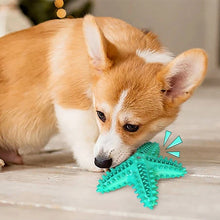 3 Pack Pet Squeaky Toothbrush - Zoomies