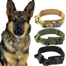 Durable Military Tactical Collar - Zoomies