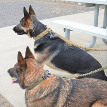 Military Dog Tactical Harness - Zoomies