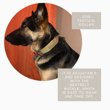 Durable Military Tactical Collar - Zoomies