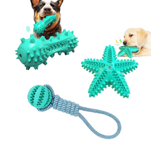 3 Pack Pet Squeaky Toothbrush - Zoomies