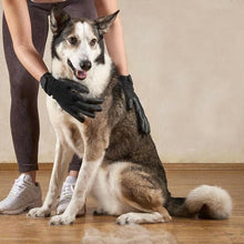 Pet Grooming Gloves - Zoomies