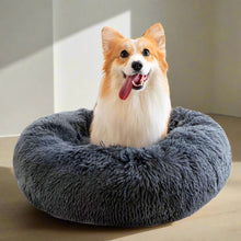 Anti Anxiety Fluffy Dog Bed - Zoomies