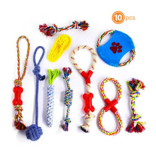 10 Pcs Assorted Braided Chew Toys - Zoomies
