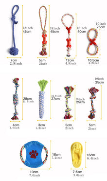 10 Pcs Assorted Braided Chew Toys - Zoomies