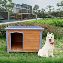 Wooden Dog House - Zoomies