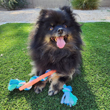 Rubber Bone Dog Chew Toy - Zoomies