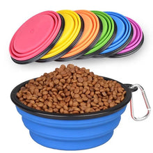 Collapsible Silicone Pet Bowl - Zoomies