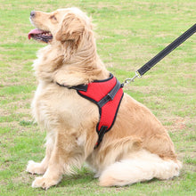 Adjustable Pet Harness - Zoomies