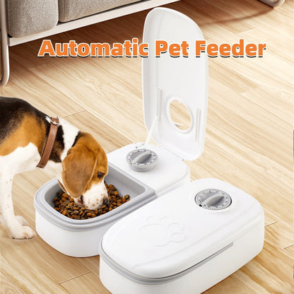 Smart Food Dispenser - Zoomies