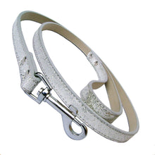 Disco Fever Dog Leads - Zoomies