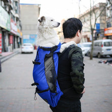 Double Shoulder Carrier Backpack - Zoomies