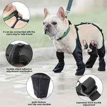 Waterproof Dog Shoes - Zoomies