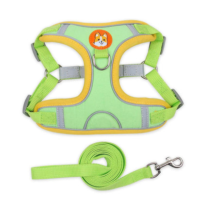 Ultimate Comfort And Safety Pet Harness Set - Zoomies