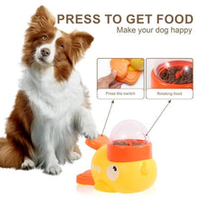 Dog Puzzle Feeder - Zoomies