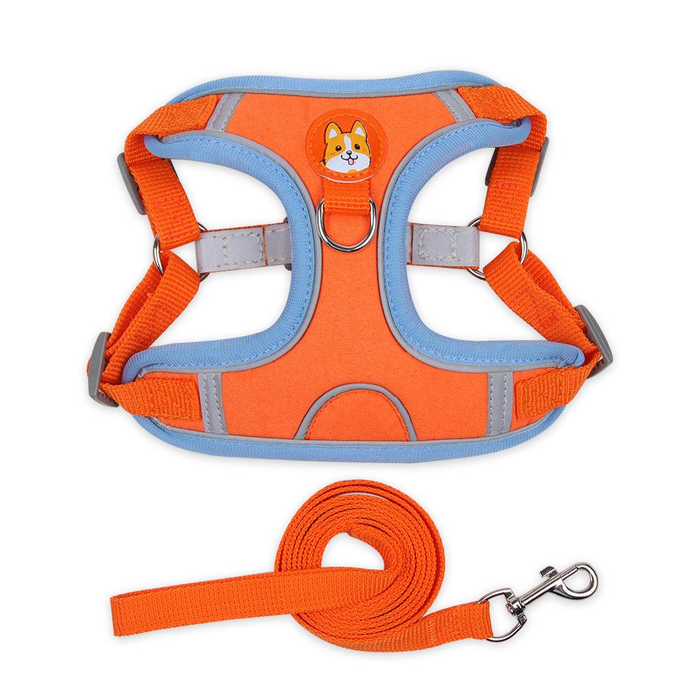 Ultimate Comfort And Safety Pet Harness Set - Zoomies