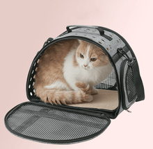 One Shoulder Cat Litter Carrier - Zoomies