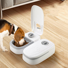 Smart Food Dispenser - Zoomies