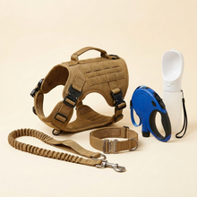 The Everyday Walk Kit