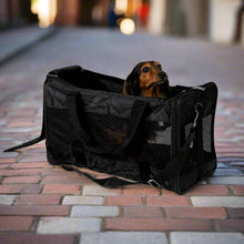 Pet Travel Bag - Zoomies
