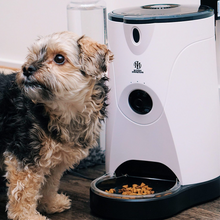 WiFi Pet Feeder - Zoomies