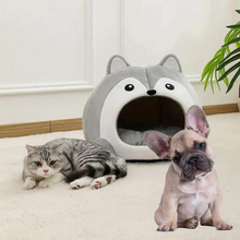 Cartoon Fox Theme Pet House - Zoomies