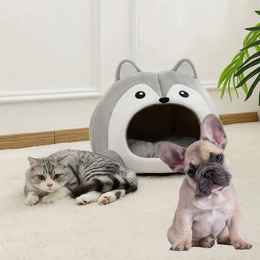 Cartoon Fox Theme Pet House - Zoomies