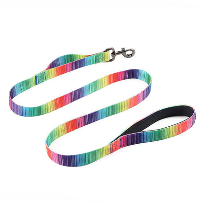 Matching Leash & Collars Set - Zoomies