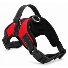 Adjustable Pet Harness - Zoomies