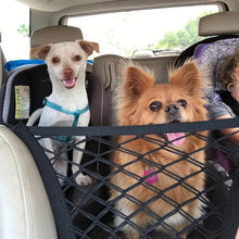 Premium Pet Car Net Petition - Zoomies